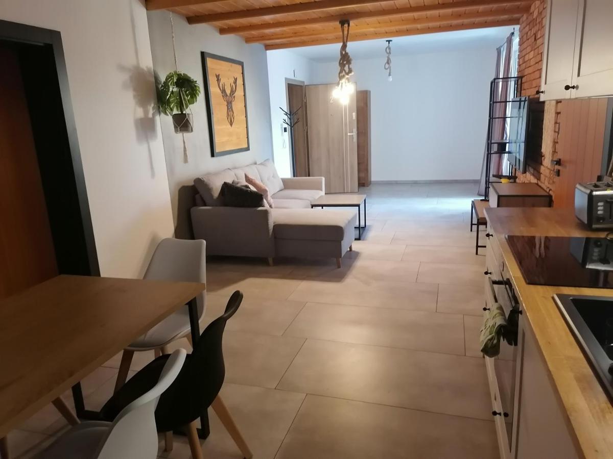 Złotów Apartament Jelen 아파트 외부 사진