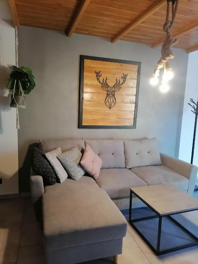 Złotów Apartament Jelen 아파트 외부 사진