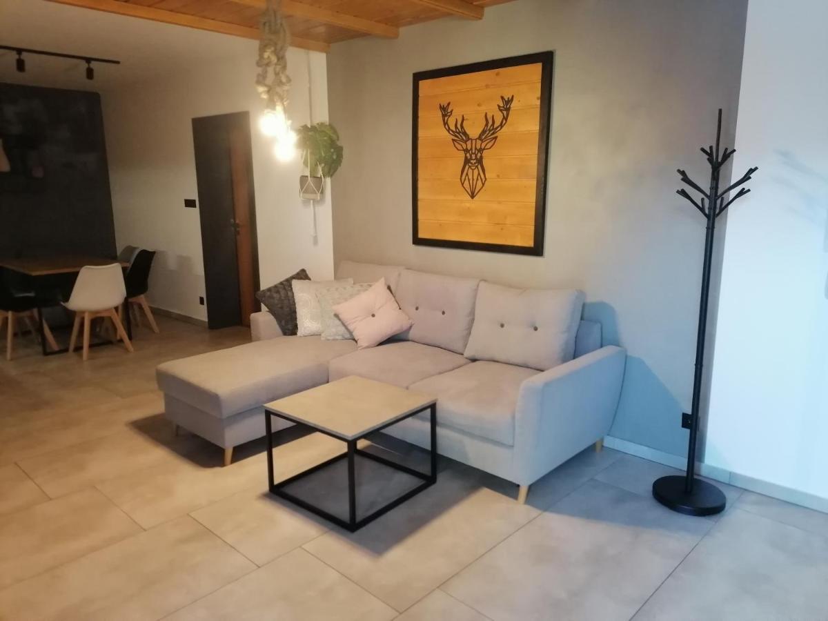 Złotów Apartament Jelen 아파트 외부 사진