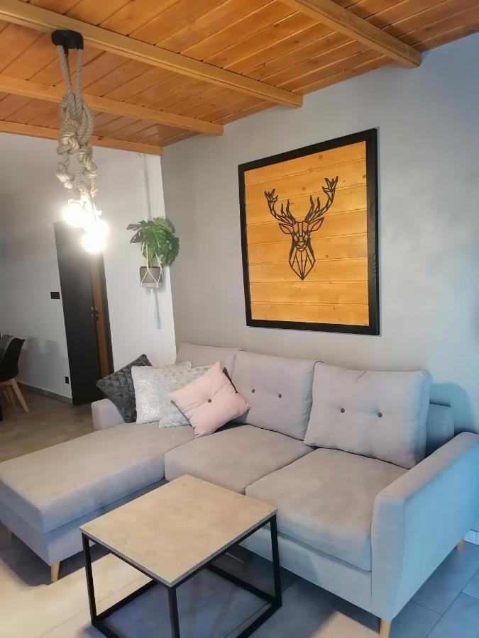 Złotów Apartament Jelen 아파트 외부 사진